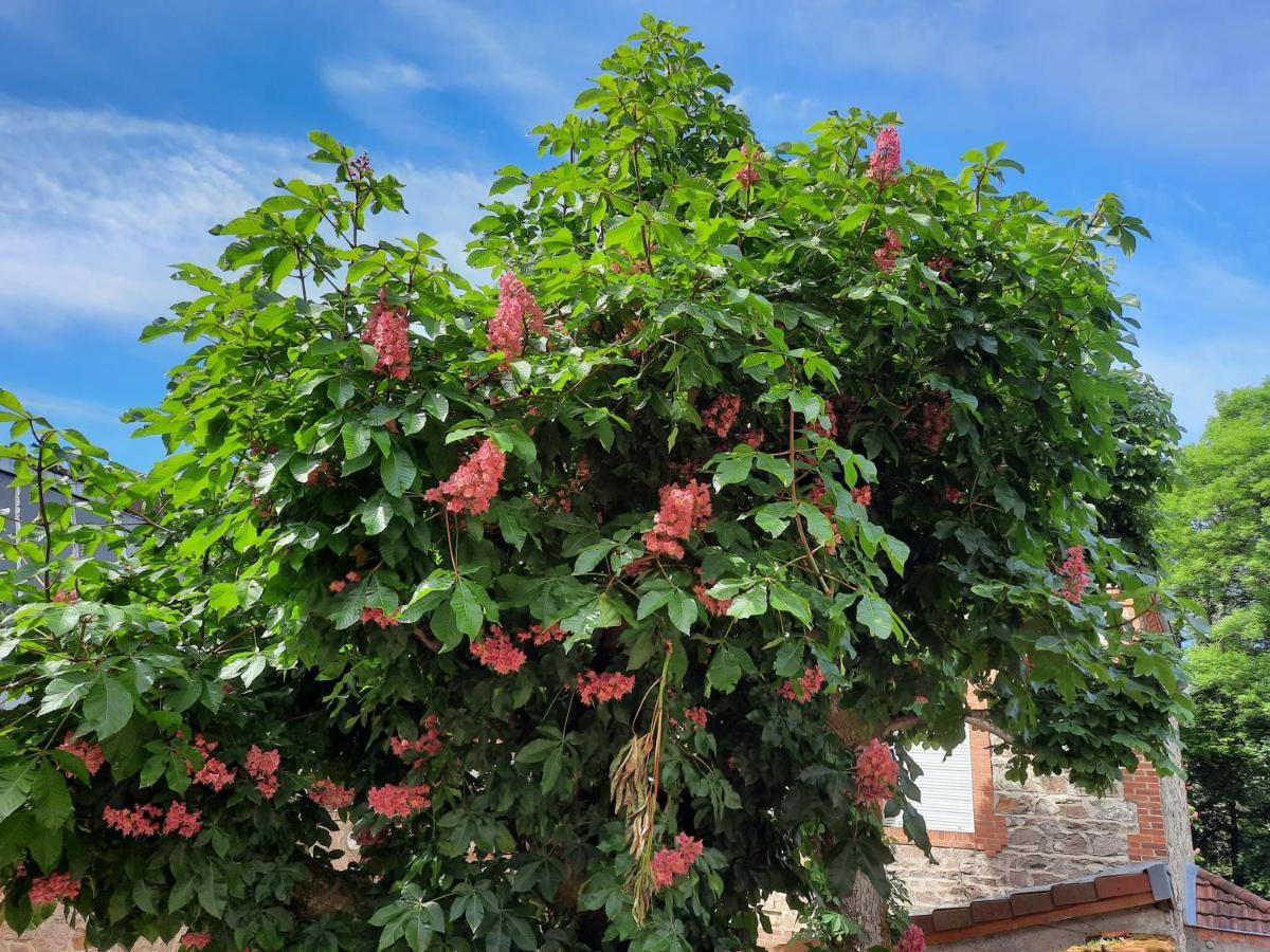 Le Clos Des Soyeux Saint-Victor-sur-Rhins المظهر الخارجي الصورة